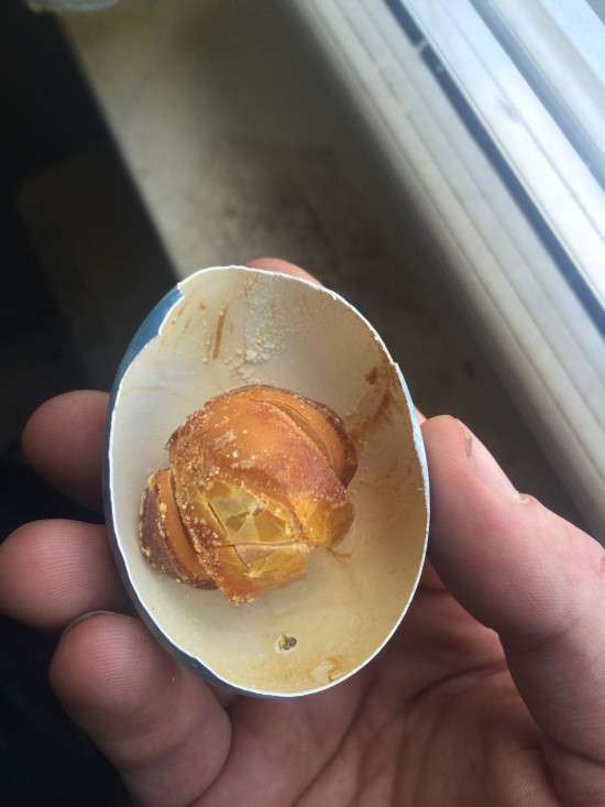Пасхальне яйце, яке 25 років пролежало в холодильнику (5 фото)