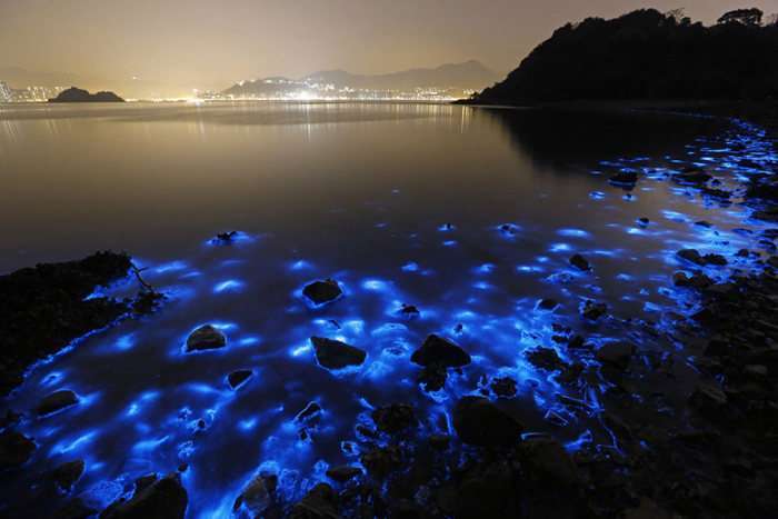 Дивовижне природне явище на узбережжі Гонконгу (4 фото)