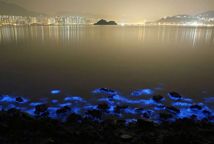 Дивовижне природне явище на узбережжі Гонконгу (4 фото)