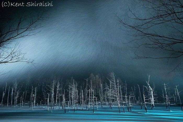 Блакитний ставок міста Бией на фотографіях Кента Шираїши (14 фото)