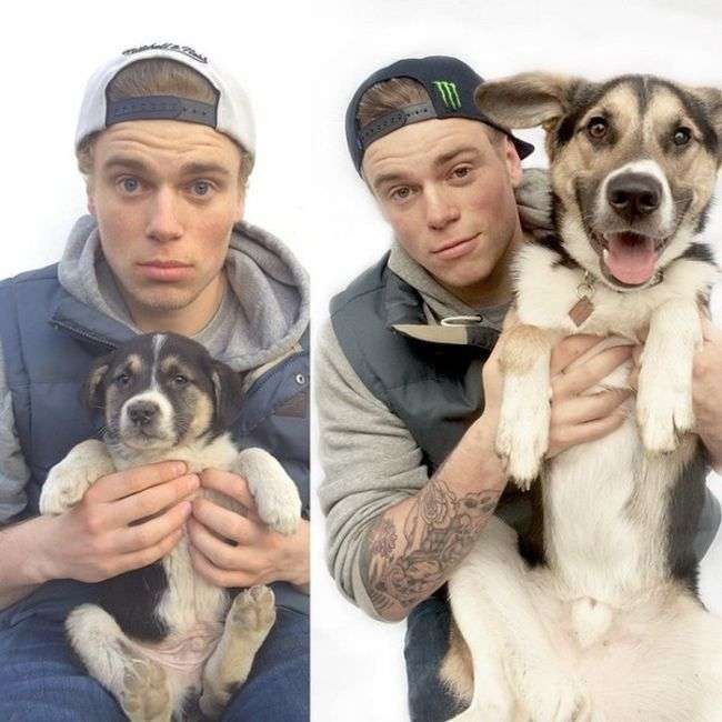 Тварини в притулку і в сімї: фото до і після (16 фото)