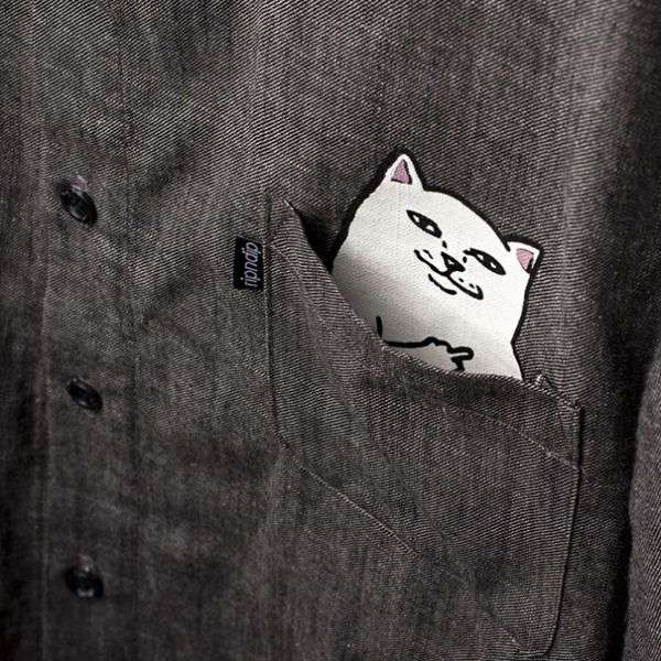 Кішка в кишені (3 фото)