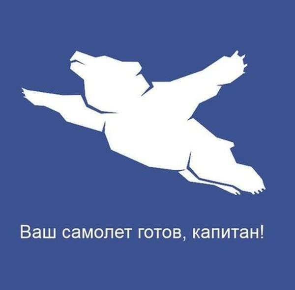 Летить ведмідь - новий символ хабаровського аеропорту (28 фото)