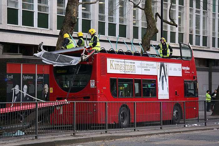 З вини водія дерево знесло дах автобуса (14 фото)