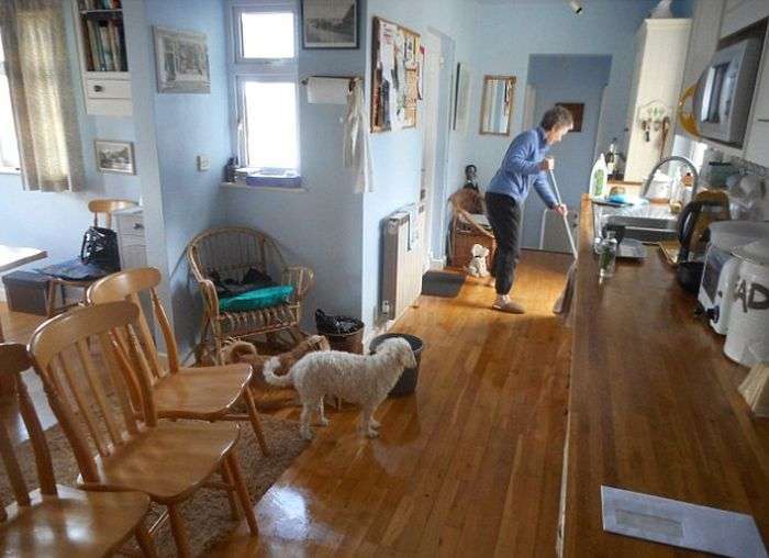 В будинок пенсіонерки навідалися непрохані гості (9 фото)
