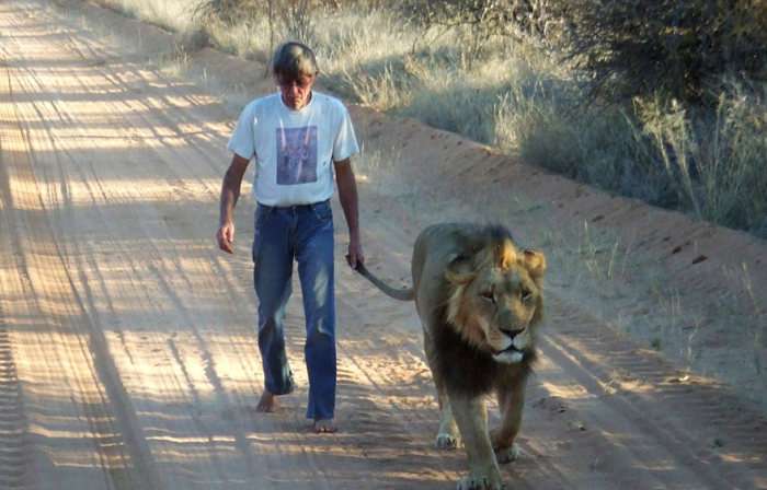 У Південній Африці чоловік замінив леву мати (11 фото)