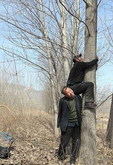 Дует китайських інвалідів посадив понад 10 000 дерев (7 фото)