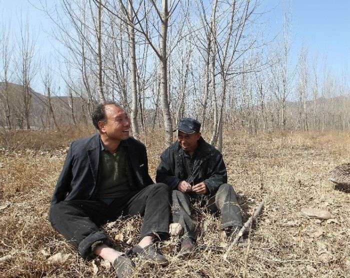 Дует китайських інвалідів посадив понад 10 000 дерев (7 фото)