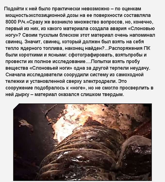 «Слонова нога» в зоні відчуження Чорнобильської АЕС (11 фото)