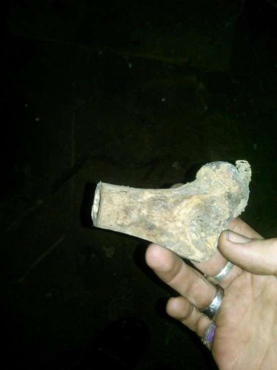 Дослідження кісток, знайдених у підвалі будинку (4 фото)