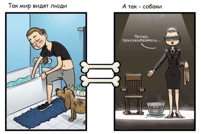 Навколишній світ очима людей і собак (7 картинок)