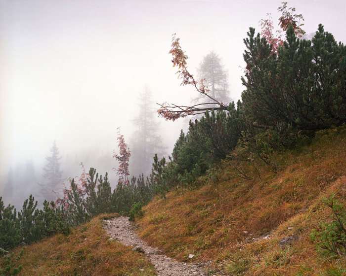 Невидимі снайпери на фото Симона Меннера (8 фото)