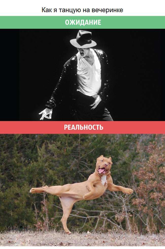 Чоловічі очікування і сувора реальність (12 фото)