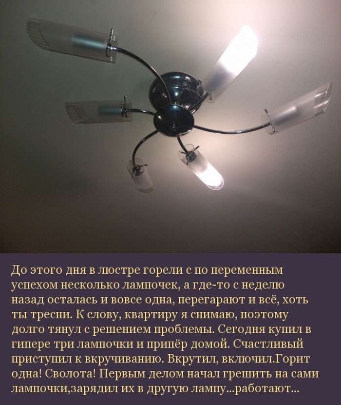 Несподівана знахідка в люстрі на знімній квартирі (8 фото)