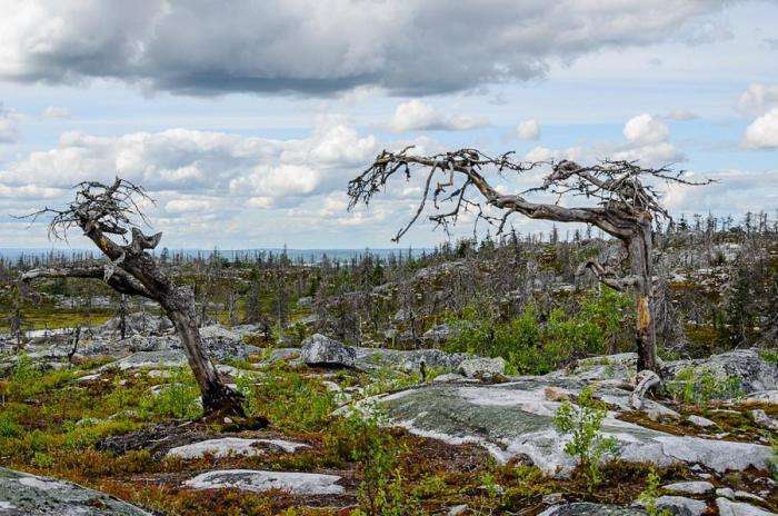 Дивовижна гора Воттоваара — невідома памятка Карелії (31 фото)