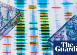 Recensione sulla mente divisa: come la psichiatria sta finalmente svelando la schizofrenia