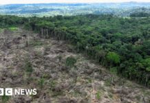 Погіршення природи безпосередньо загрожує безпеці Великобританії, попереджають спецслужби