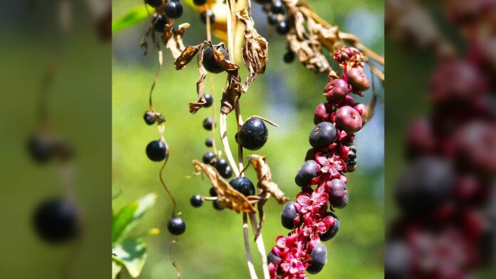 233c44d6-c7ed-4aef-8197-979c73a3e1df