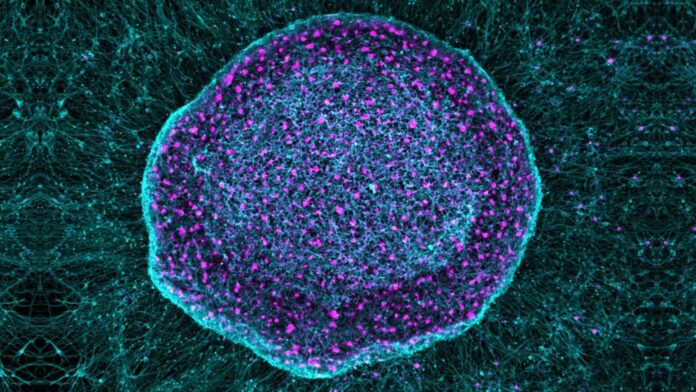 631f4749-7bf0-4b1b-bd83-6adae1872e80