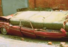 Прихований тектонічний фрагмент, виявлений під Північною Каліфорнією, підвищує ризик землетрусів