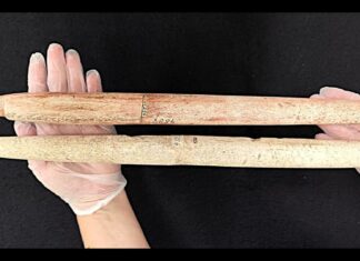 Starożytna brazylijska rdzenna ludność polowała na wieloryby 5000 lat temu