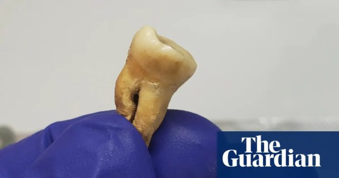 f9406401-1005-4950-a130-eafd742917ea