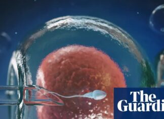 Terobosan Penelitian Kualitas Telur Menawarkan Harapan bagi Pasien IVF