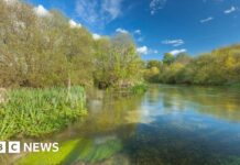 Ріки Хемпшира Зіткнулися з Екологічною Кризою через Скидання Стічних Вод, Що загрожують Лососю