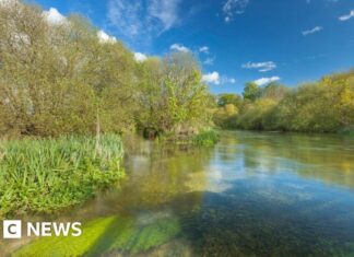 Ріки Хемпшира Зіткнулися з Екологічною Кризою через Скидання Стічних Вод, Що загрожують Лососю