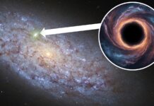 Darebné černé díry objevené v trpasličích galaxiích