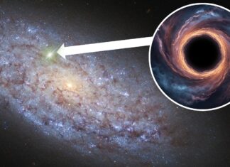 Блукаючі Чорні Діри Виявлено в Карликових Галактиках