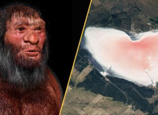 Прориви та Таємниці: Наукові Новини Тижня