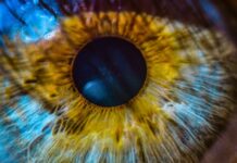 Генетическая Догма Под Угрозой: Многие «Наследственные» Заболевания Оказываются Не Так Неизбежны, Как Мы Думали