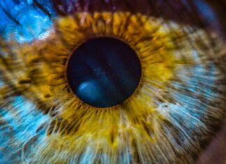 Генетическая Догма Под Угрозой: Многие «Наследственные» Заболевания Оказываются Не Так Неизбежны, Как Мы Думали