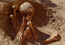 Кельтські Воїни, Виявлені у Франції: Насильницька Смерть Підтверджена Незвичайним Похороном