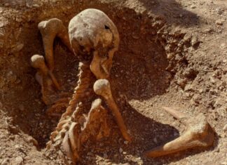 Кельтські Воїни, Виявлені у Франції: Насильницька Смерть Підтверджена Незвичайним Похороном