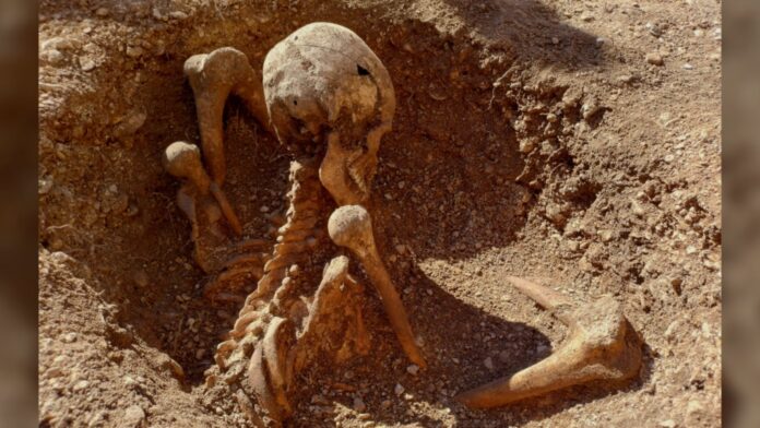 39c3f0ca-6bcf-4f9a-96b1-b0aee4ae0457