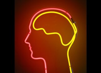 Цифрові Двійники Відкривають Нові Горизонти в Дослідженнях Психоделіків при Порушеннях Свідомості