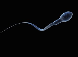 Эта неделя в науке: Пределы клонирования, космическая сперма и прорывы в лечении рака