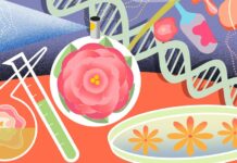 Збереження ароматів: як рослини, що зникають, підштовхують до гонки за втраченими запахами