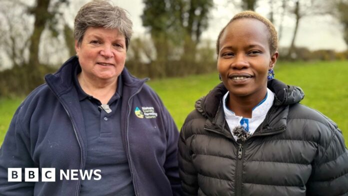 c6ad4837-be64-4931-bbc4-16f061636e31