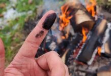 Неандертальцы Лечились Березовым Дегтем: Подтверждено Древнее Использование Антибиотика