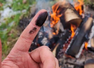 Неандертальці Лікувались Березовим Дігтем: Підтверджено Стародавнє Використання Антибіотика