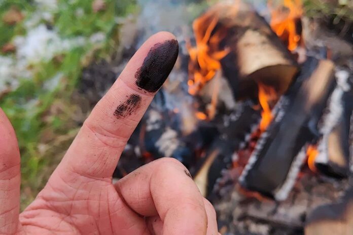 e0269d53-9d00-48b5-ad8a-5172113f6efb