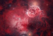 Вражаюча Туманність, що нагадує Медузу та Людський Мозок, Знаходиться в 5 000 Світлових Роках від Нас