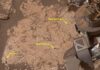 Марсохід NASA Curiosity виявив найрізноманітніші збори органічних молекул на Марсі