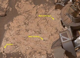 Марсохід NASA Curiosity виявив найрізноманітніші збори органічних молекул на Марсі