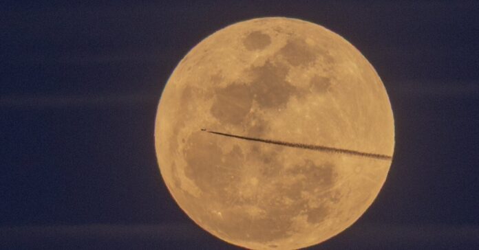 2a802a05-b6e6-411d-abe9-a1824fe0b02c