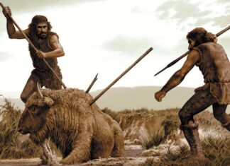 Виживання найрозумніших: як зникнення гігантів сформувало людський мозок