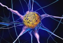 Рівень вітаміну D у середньому віці може захистити мозок від змін, пов’язаних із хворобою Альцгеймера